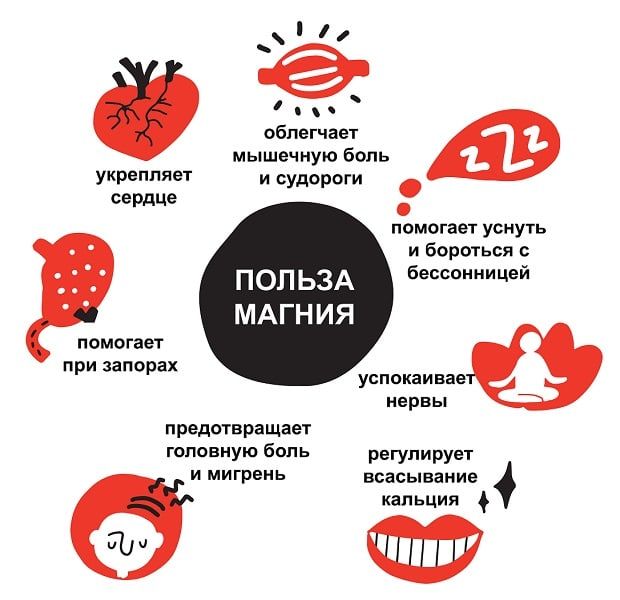 Для чого організму потрібен магній