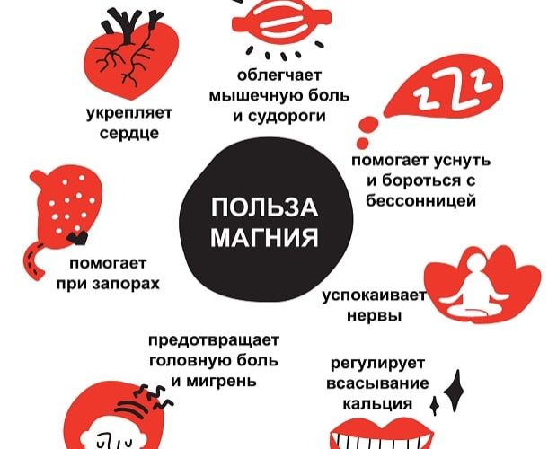 Для чого організму потрібен магній
