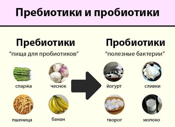 Пробіотики та пребіотики: різниця, відмінності та правильний прийом