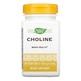 Choline 500 mg - 100 таблеток