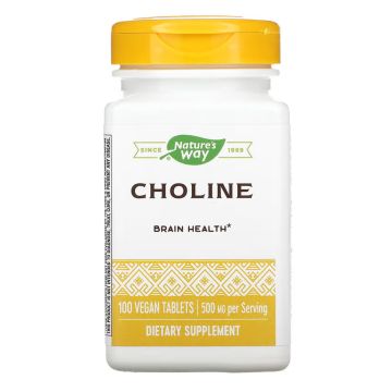 Choline 500 mg - 100 таблеток