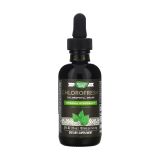 Chlorofresh Mint 40X Liquid - 59 мл