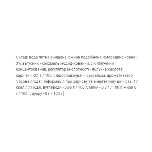 Fitnes Jam Sugar Free + L Carnitine Forest Fruit - 200 гр.