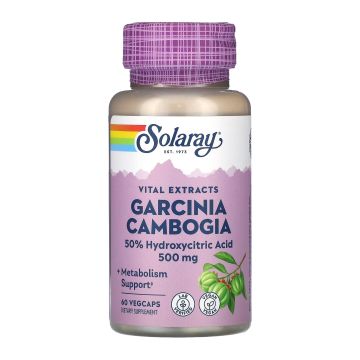 Garcinia Cambogia Fruit Ext 500mg - 60 вег. капсул