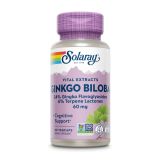 Ginkgo Biloba Leaf Extract 60mg - 60 капсул