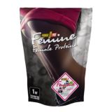 Femine Protein Blackberry Yoghurt - 1000 гр.