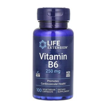 Vitamin B6 250 мг. - 100 вег. капсул