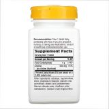 Choline 500 mg - 100 таблеток