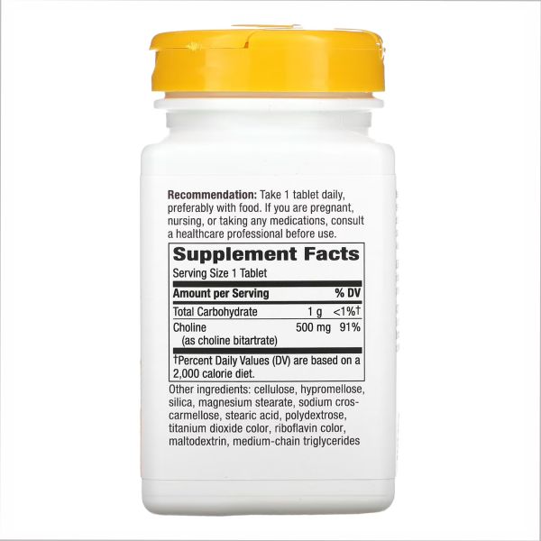 Choline 500 mg - 100 таблеток