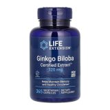 Ginkgo Biloba Certified Extract™ 120 мг. - 365 вег. капсул