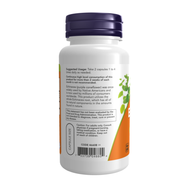Эхинацея / Echinacea 400 мг NOW