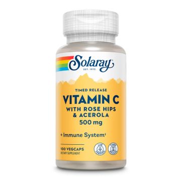 Vitamin C with Rose Hips & Acerola, Timed Release 500mg - 100 капсул