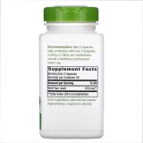 Wild Yam - 180 капсул